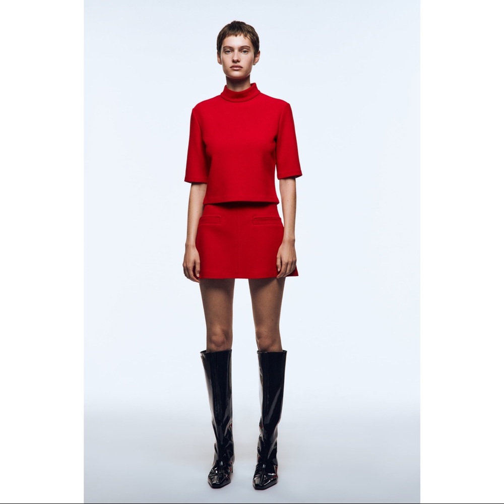 Zara Mini Skirt